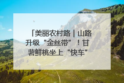 美丽农村路｜山路升级“金丝带”！甘薯鲜桃坐上“快车”，开去大市场
