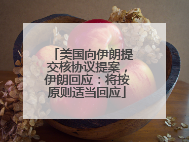 美国向伊朗提交核协议提案，伊朗回应：将按原则适当回应