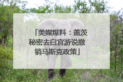 美媒爆料：盖茨秘密去白宫游说撤销马斯克政策