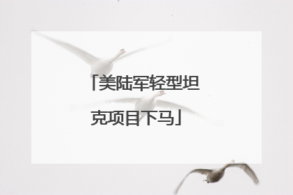 美陆军轻型坦克项目下马