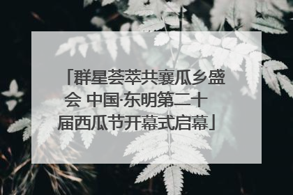 群星荟萃共襄瓜乡盛会 中国·东明第二十届西瓜节开幕式启幕
