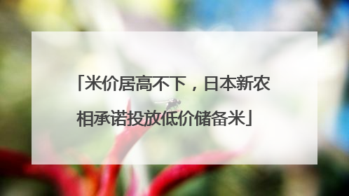 米价居高不下，日本新农相承诺投放低价储备米