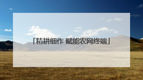精耕细作 赋能农网终端