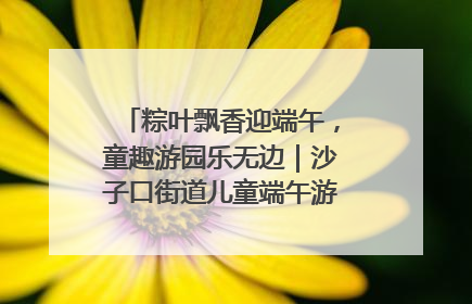 粽叶飘香迎端午，童趣游园乐无边｜沙子口街道儿童端午游园活动圆满落幕