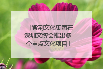 紫荆文化集团在深圳文博会推出多个重点文化项目