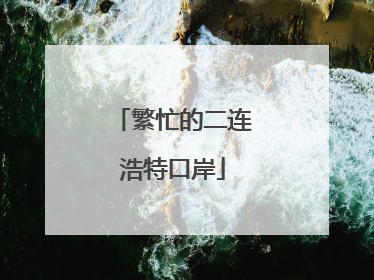 繁忙的二连浩特口岸