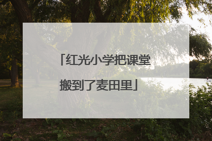 红光小学把课堂搬到了麦田里