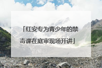 红安专为青少年的禁毒课在庭审现场开讲