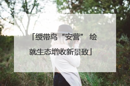 绶带鸟“安营” 绘就生态增收新景致