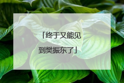 终于又能见到樊振东了