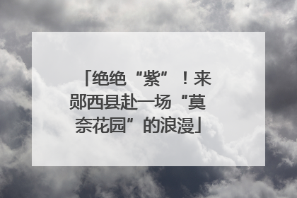 绝绝“紫”！来郧西县赴一场“莫奈花园”的浪漫