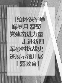 缅怀铁军峥嵘岁月·凝聚党建奋进力量——走进新四军砂村抗战史迹展示馆开展主题教育