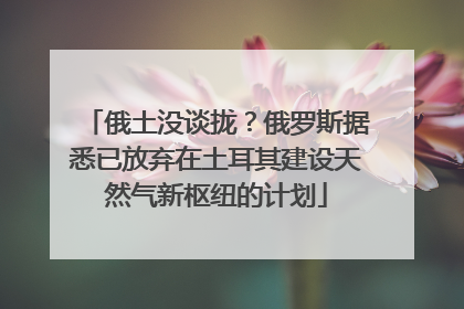 俄土没谈拢？俄罗斯据悉已放弃在土耳其建设天然气新枢纽的计划
