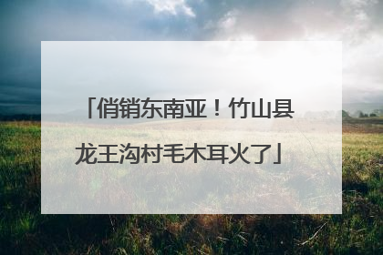 俏销东南亚！竹山县龙王沟村毛木耳火了