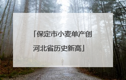 保定市小麦单产创河北省历史新高