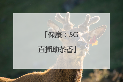 保康：5G直播助茶香
