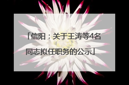 信阳：关于王涛等4名同志拟任职务的公示