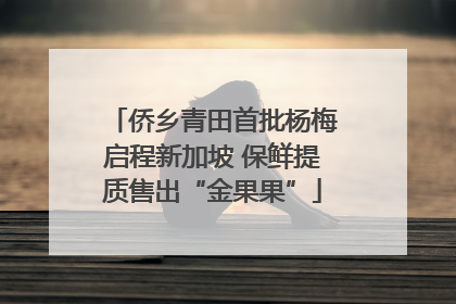 侨乡青田首批杨梅启程新加坡 保鲜提质售出“金果果”