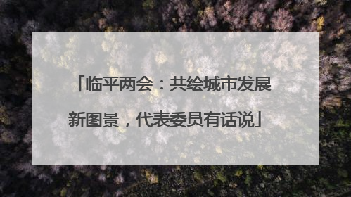 临平两会：共绘城市发展新图景，代表委员有话说