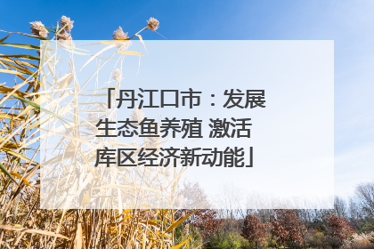 丹江口市：发展生态鱼养殖 激活库区经济新动能