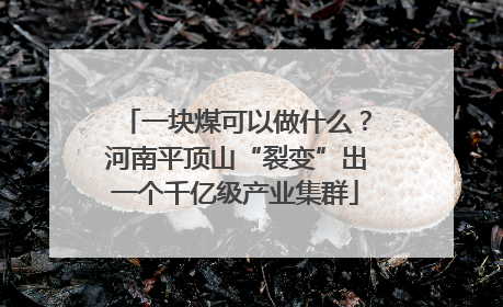 一块煤可以做什么？河南平顶山“裂变”出一个千亿级产业集群