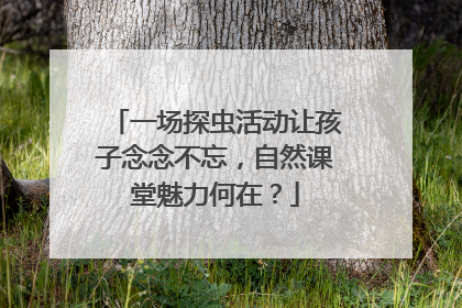 一场探虫活动让孩子念念不忘，自然课堂魅力何在？