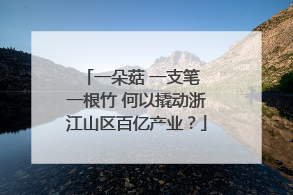 一朵菇 一支笔 一根竹 何以撬动浙江山区百亿产业？