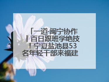 一道·闽宁协作丨百日跟班学绝技！宁夏盐池县53名年轻干部来福建取“真经”