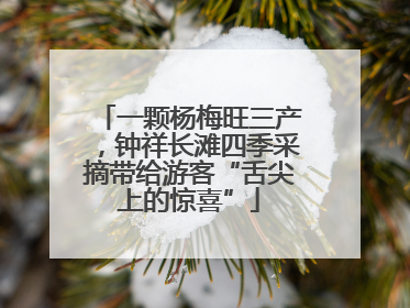 一颗杨梅旺三产，钟祥长滩四季采摘带给游客“舌尖上的惊喜”