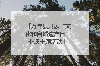 万年县开展“文化和自然遗产日”非遗主题活动