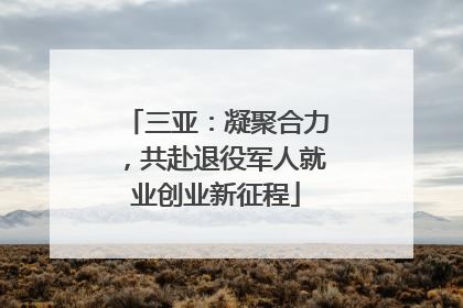 三亚：凝聚合力，共赴退役军人就业创业新征程
