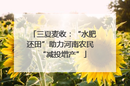 三夏麦收：“水肥还田”助力河南农民“减投增产”