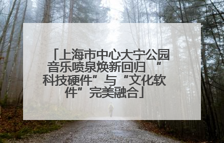 上海市中心大宁公园音乐喷泉焕新回归 “科技硬件”与“文化软件”完美融合