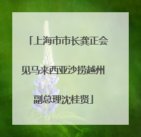 上海市市长龚正会见马来西亚沙捞越州副总理沈桂贤