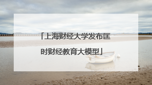 上海财经大学发布匡时财经教育大模型