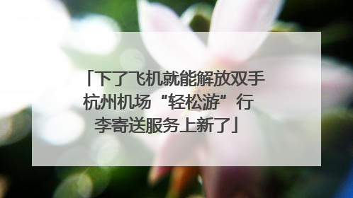 下了飞机就能解放双手 杭州机场“轻松游”行李寄送服务上新了