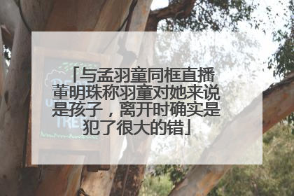 与孟羽童同框直播 董明珠称羽童对她来说是孩子，离开时确实是犯了很大的错