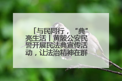 与民同行，“典”亮生活丨黄陂公安民警开展民法典宣传活动，让法治精神在群众心中落地生根