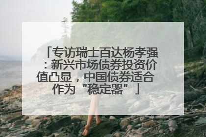 专访瑞士百达杨孝强：新兴市场债券投资价值凸显，中国债券适合作为“稳定器”