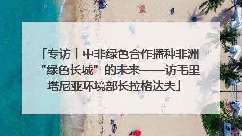 专访丨中非绿色合作播种非洲“绿色长城”的未来——访毛里塔尼亚环境部长拉格达夫
