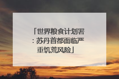 世界粮食计划署：苏丹首都面临严重饥荒风险