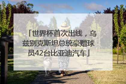 世界杯首次出线，乌兹别克斯坦总统豪赠球员42台比亚迪汽车