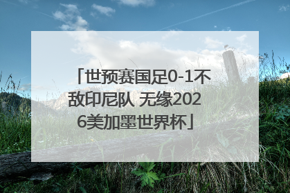 世预赛国足0-1不敌印尼队 无缘2026美加墨世界杯