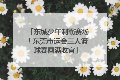 东城少年制霸赛场！东莞市运会三人篮球赛圆满收官