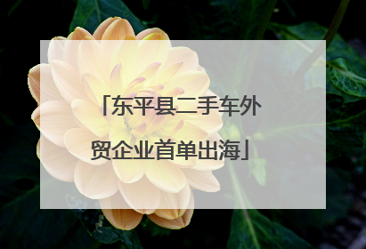 东平县二手车外贸企业首单出海