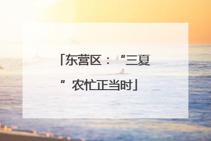 东营区：“三夏”农忙正当时
