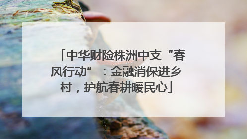 中华财险株洲中支“春风行动”：金融消保进乡村，护航春耕暖民心