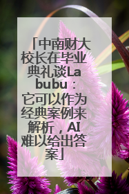 中南财大校长在毕业典礼谈Labubu：它可以作为经典案例来解析，AI难以给出答案