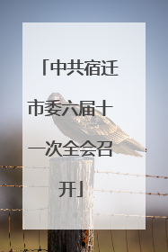 中共宿迁市委六届十一次全会召开