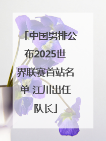 中国男排公布2025世界联赛首站名单 江川出任队长